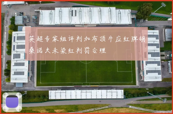 英超专家组评判加布顶牛应红牌胡桑诺夫未染红判罚合理