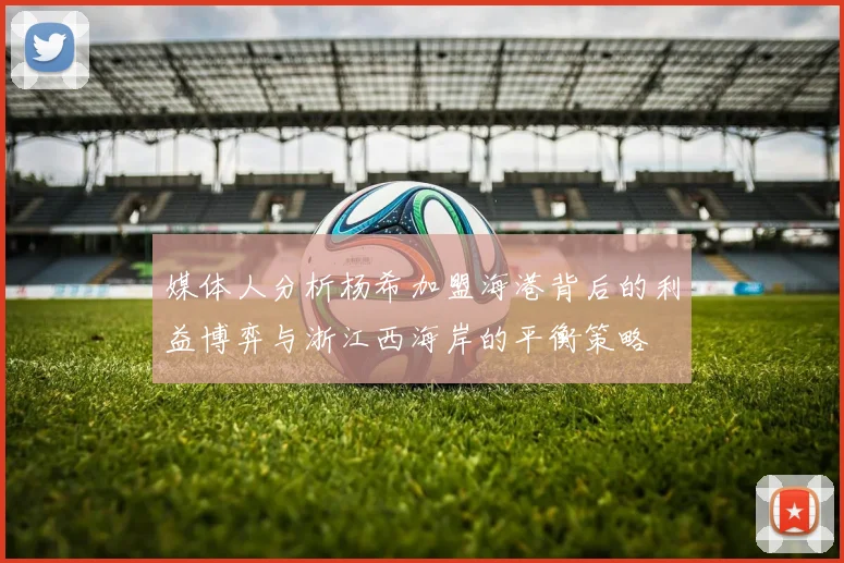 媒体人分析杨希加盟海港背后的利益博弈与浙江西海岸的平衡策略